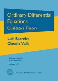 bokomslag Ordinary Differential Equations