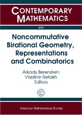 bokomslag Noncommutative Birational Geometry, Representations and Combinatorics