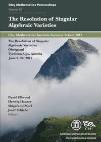 bokomslag The Resolution of Singular Algebraic Varieties