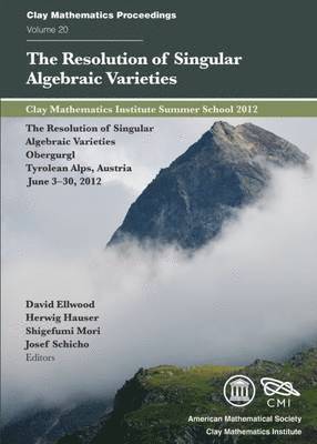 bokomslag The Resolution of Singular Algebraic Varieties