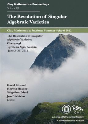 David Ellwood, Herwig Hauser, Shigefumi Mori, Josef Schicho - Resolution of Singular Algebraic Varieties, Häftad