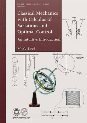 Mark Levi - Classical Mechanics with Calculus of Variations and Optimal Control, Häftad