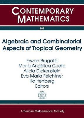 bokomslag Algebraic and Combinatorial Aspects of Tropical Geometry