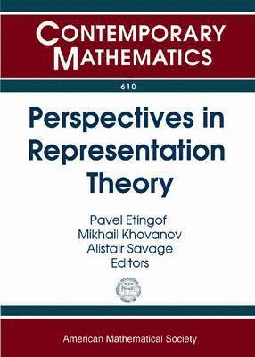 bokomslag Perspectives in Representation Theory