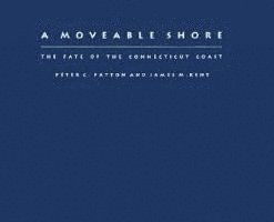 bokomslag A Moveable Shore