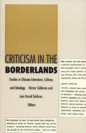 bokomslag Criticism in the Borderlands