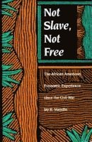 bokomslag Not Slave, Not Free