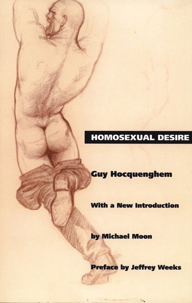 bokomslag Homosexual Desire