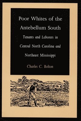 bokomslag Poor Whites of the Antebellum South