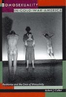 Homosexuality in Cold War America