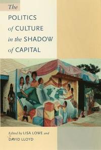 bokomslag The Politics of Culture in the Shadow of Capital