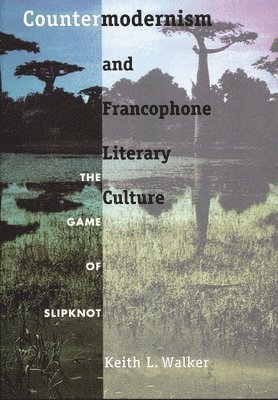 bokomslag Countermodernism and Francophone Literary Culture