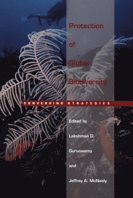 bokomslag Protection of Global Biodiversity