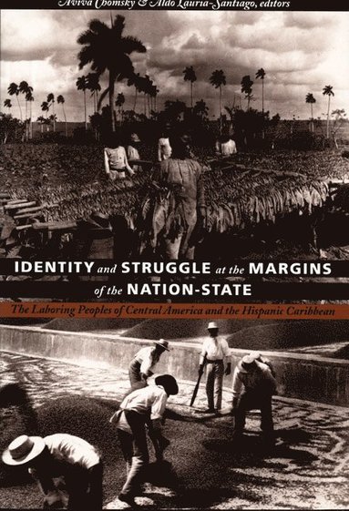 bokomslag Identity and Struggle at the Margins of the Nation-State