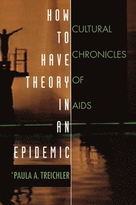 bokomslag How to Have Theory in an Epidemic