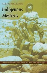 bokomslag Indigenous Mestizos