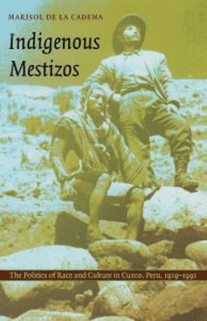 bokomslag Indigenous Mestizos