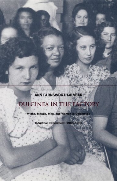 bokomslag Dulcinea in the Factory