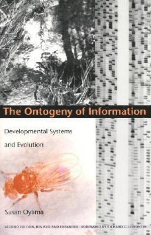 bokomslag Ontogeny of Information