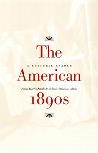 bokomslag The American 1890s