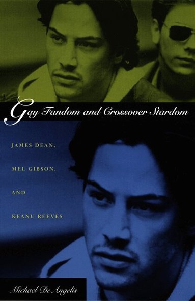 Michael DeAngelis - Gay Fandom and Crossover Stardom, Häftad