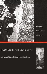 bokomslag Cultures of the Death Drive