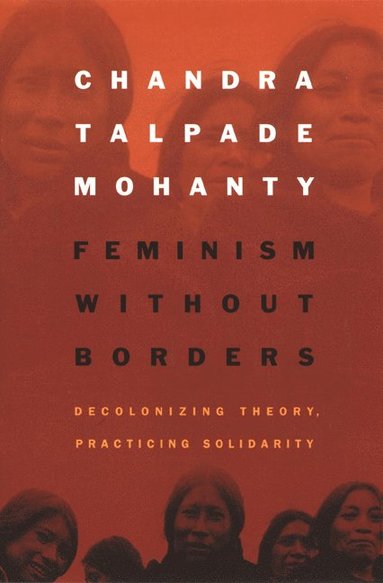bokomslag Feminism Without Borders