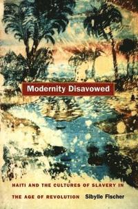 bokomslag Modernity Disavowed