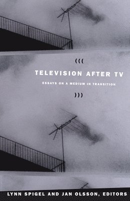 bokomslag Television After TV