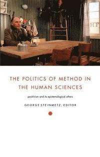 bokomslag The Politics of Method in the Human Sciences