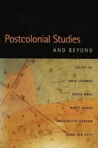 bokomslag Postcolonial Studies and Beyond