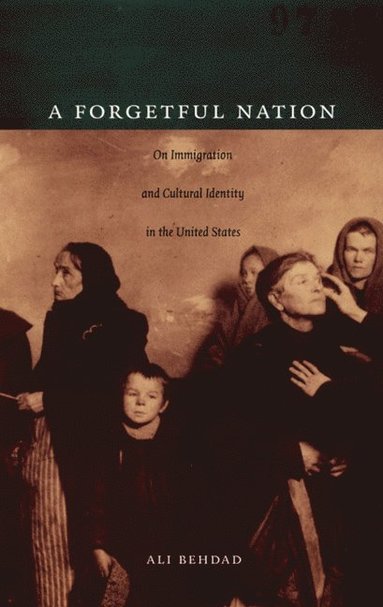 bokomslag Forgetful Nation