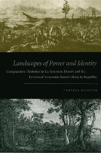 bokomslag Landscapes of Power and Identity