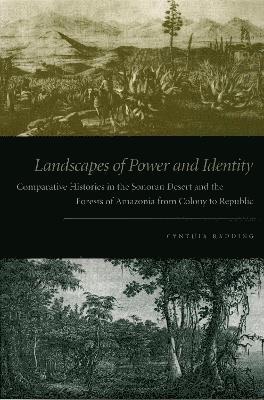 Cynthia Radding - Landscapes of Power and Identity, Inbunden