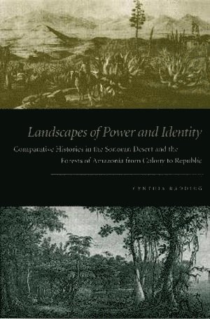 bokomslag Landscapes of Power and Identity