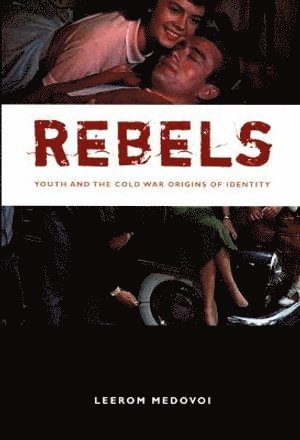 Leerom Medovoi - Rebels, Häftad