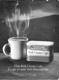 bokomslag Irish in Us