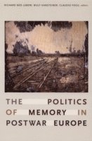 bokomslag The Politics of Memory in Postwar Europe