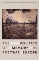 Richard Ned Lebow, Wulf Kansteiner, Claudio Fogu, Richard Ned LeBow - Politics of Memory in Postwar Europe, Häftad