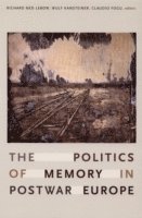 The Politics of Memory in Postwar Europe 1