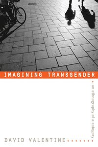 bokomslag Imagining Transgender