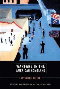 bokomslag Warfare in the American Homeland