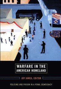 bokomslag Warfare in the American Homeland