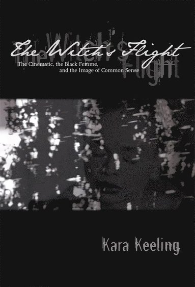 bokomslag Witch's Flight