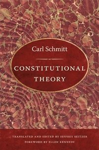 bokomslag Constitutional Theory