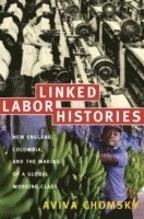 bokomslag Linked Labor Histories