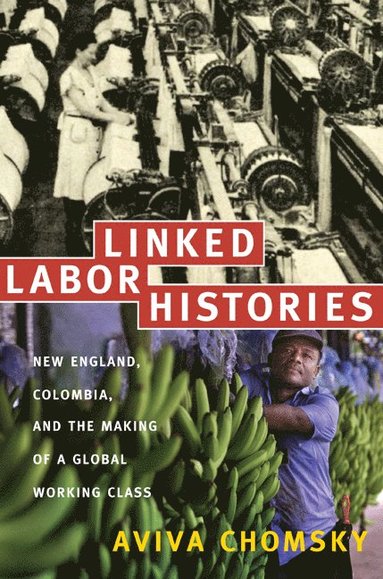 Aviva Chomsky - Linked Labor Histories, Häftad
