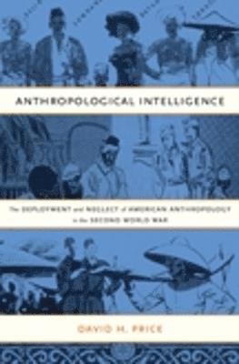 Anthropological Intelligence 1