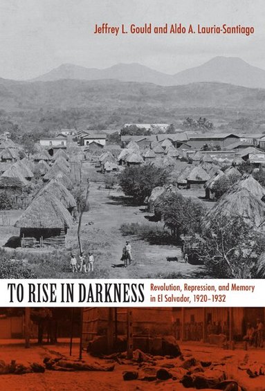 Aldo A. Lauria-Santiago, Jeffrey L. Gould - To Rise in Darkness, Häftad
