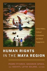 bokomslag Human Rights in the Maya Region
